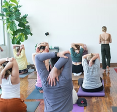 A group yoga session