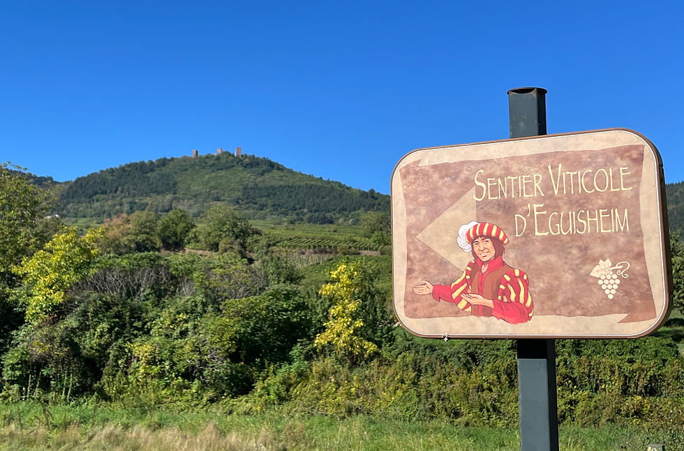 The sign indicating the Eguisheim vineyard trail, and the three castles in the back.
