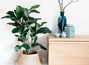 Interior Decor