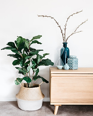 Interior Decor