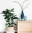 Interior Decor