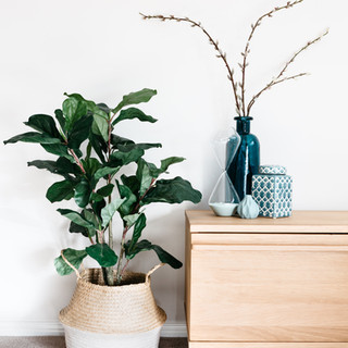 Interior Decor