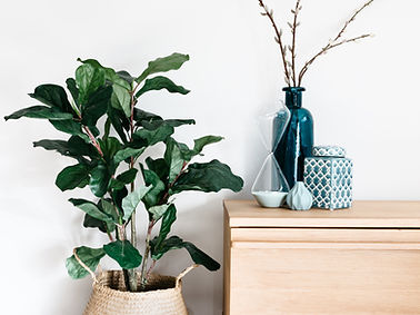 Interior Decor