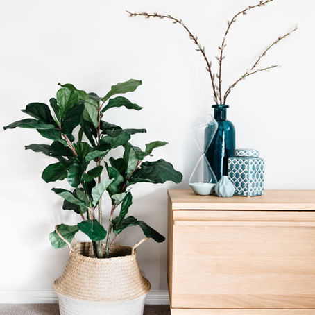 The Worst Home Trends of 2025 (and What Works Better Here in the Capital Region)