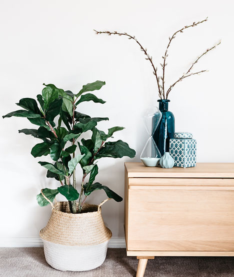 Stylish Living Decor