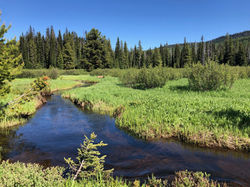 Stream_Packer_6-22