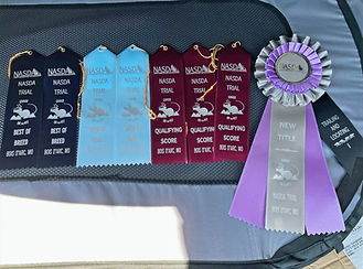 NASDA title ribbon collection