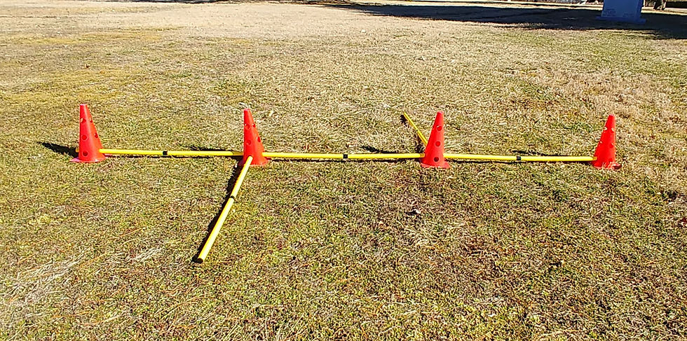 Cavaletti poles in a straight line