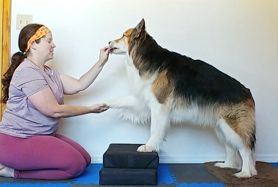 Elevated High 5 Exercise