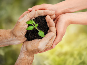 Living Your Legacy: The Gifts We Leave Without Even Knowing It