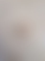 Mexican Train: The Game I Apparently Was the Last to Hear About