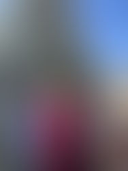 The Week Before Christmas