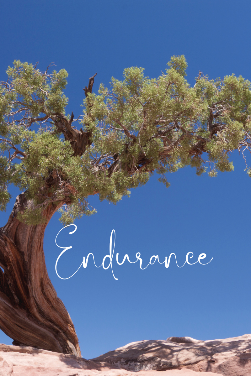 ⚱️Endurance | The Cost Of Deliverance
