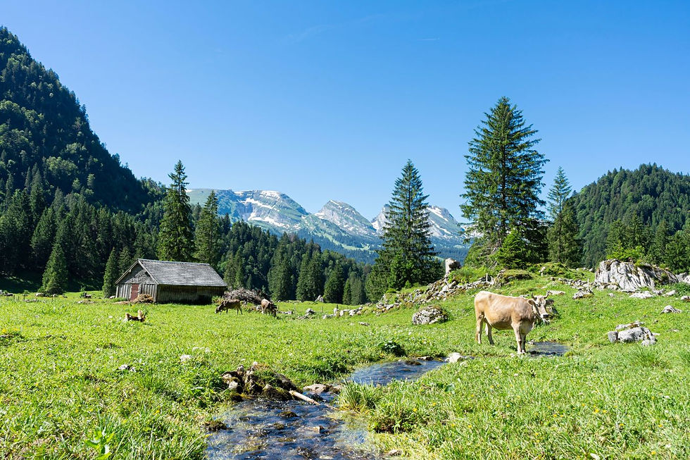 Laui Unterwasser (copyright Toggenburg Tourismus)