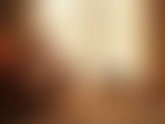 Vida Fora do Ninho: Blog sobre jornada imigratória e livros