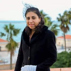 Two translators are still detained in Egypt