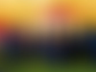 ‘I Don’t Want to Die.’ Afghan Researchers Fear for their safety—and the future of science