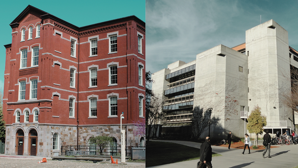 Continuing Sanctions Against Faculty for Palestine Activism and Scholarship at US Universities