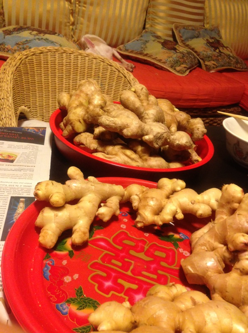 Gingerly We Prep Ginger