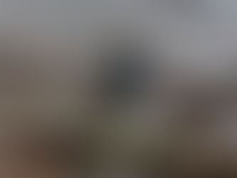 Bristol University, Archaeology and Anthropology