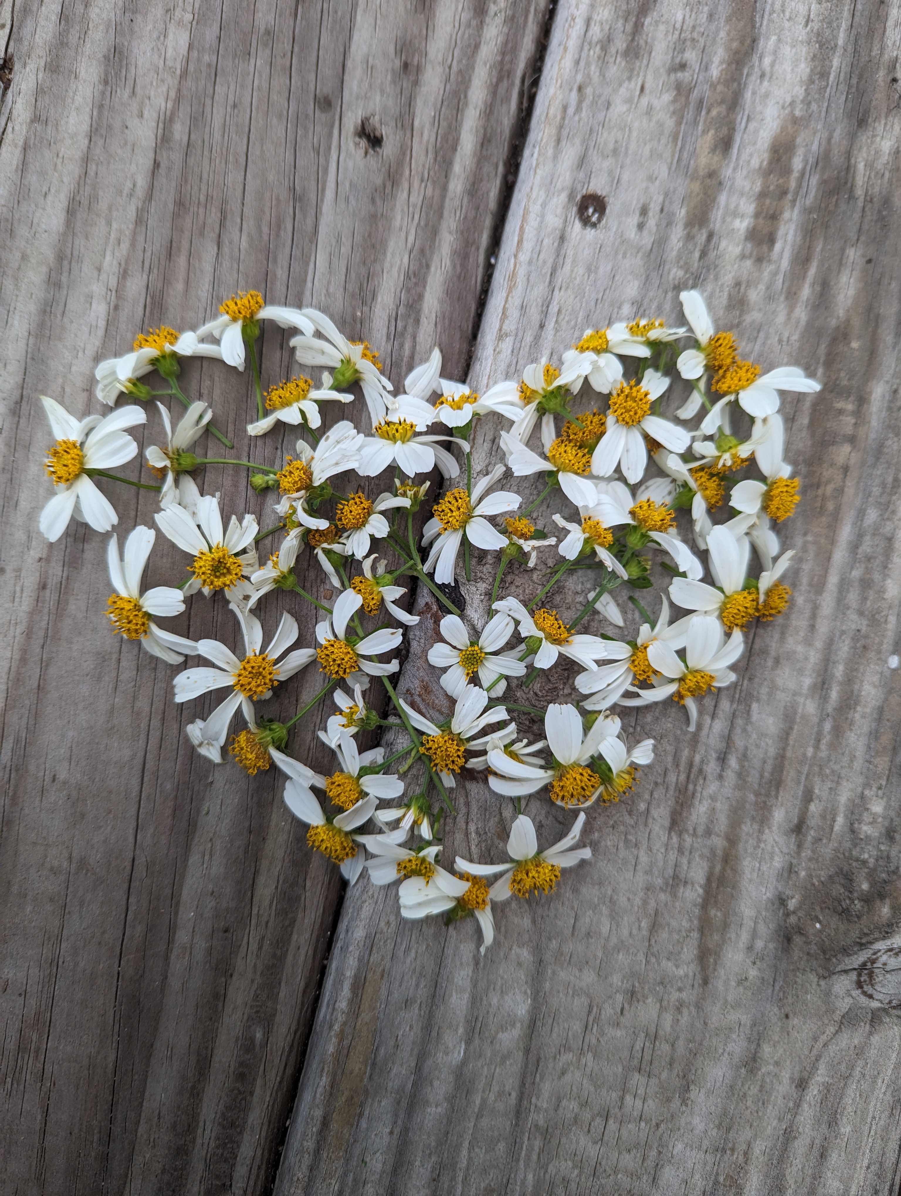 Mississippi Gulf Coast cover