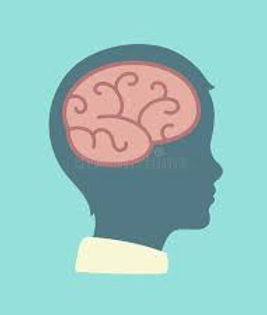 Child brain.jpeg
