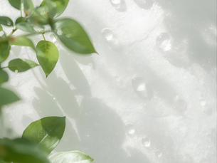 BioLoop Micellar Water: Raising the Bar for Clean Beauty Performance