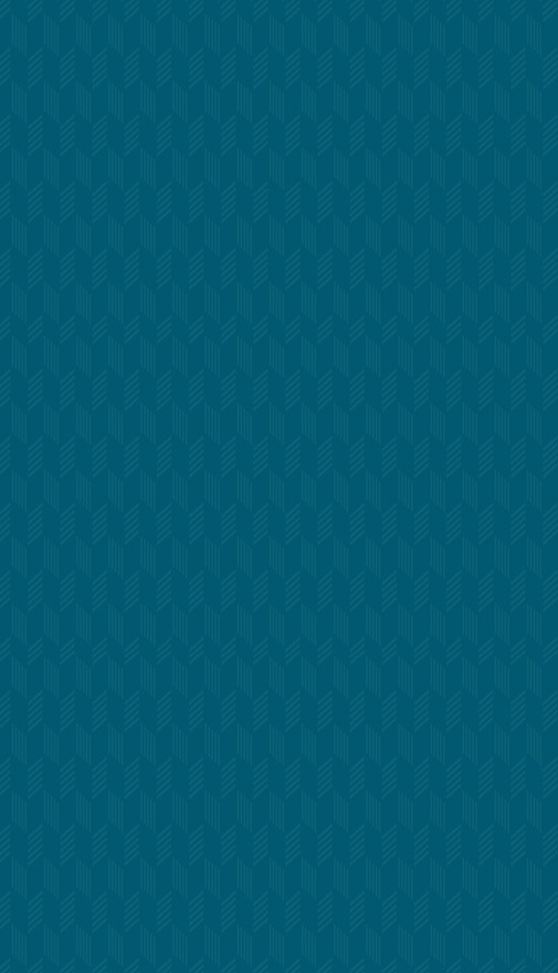 patron grande fondo3.jpg