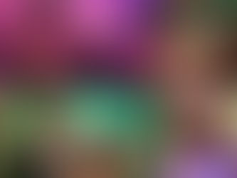 Eine Collage von Bildern eines Hauskonzertes in Die Gute Stube vom Laden31 in Endsee