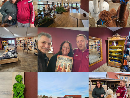 Eine Foto Collage mit Menschen, Alpakas, Woll-Produkten in einem Laden