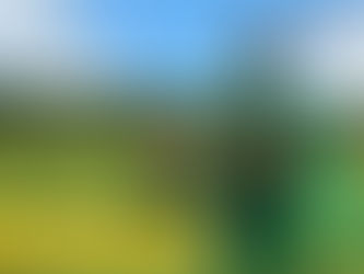 Ein Mensch, David Baumann, steht geschmückt mit Gemüse als Superstar auf dem Feld und hält dabei eine Gemüsekiste