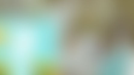 Amelia lebt ihren Traum auf vielen Bühnen