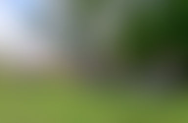 Menschen sitzen in einem Garten