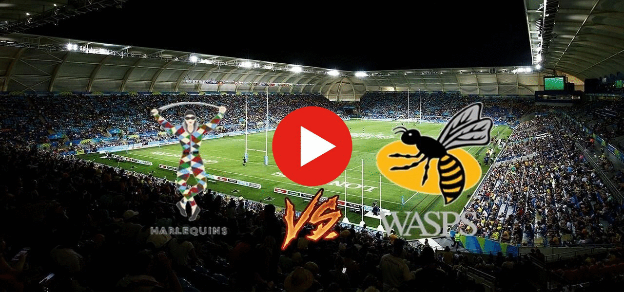 (Live TV###) Online: Harlequin vs Wasps Live Stream 13 November 2022 content media