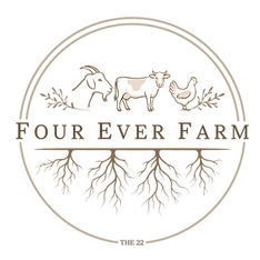 png-webside-file.png