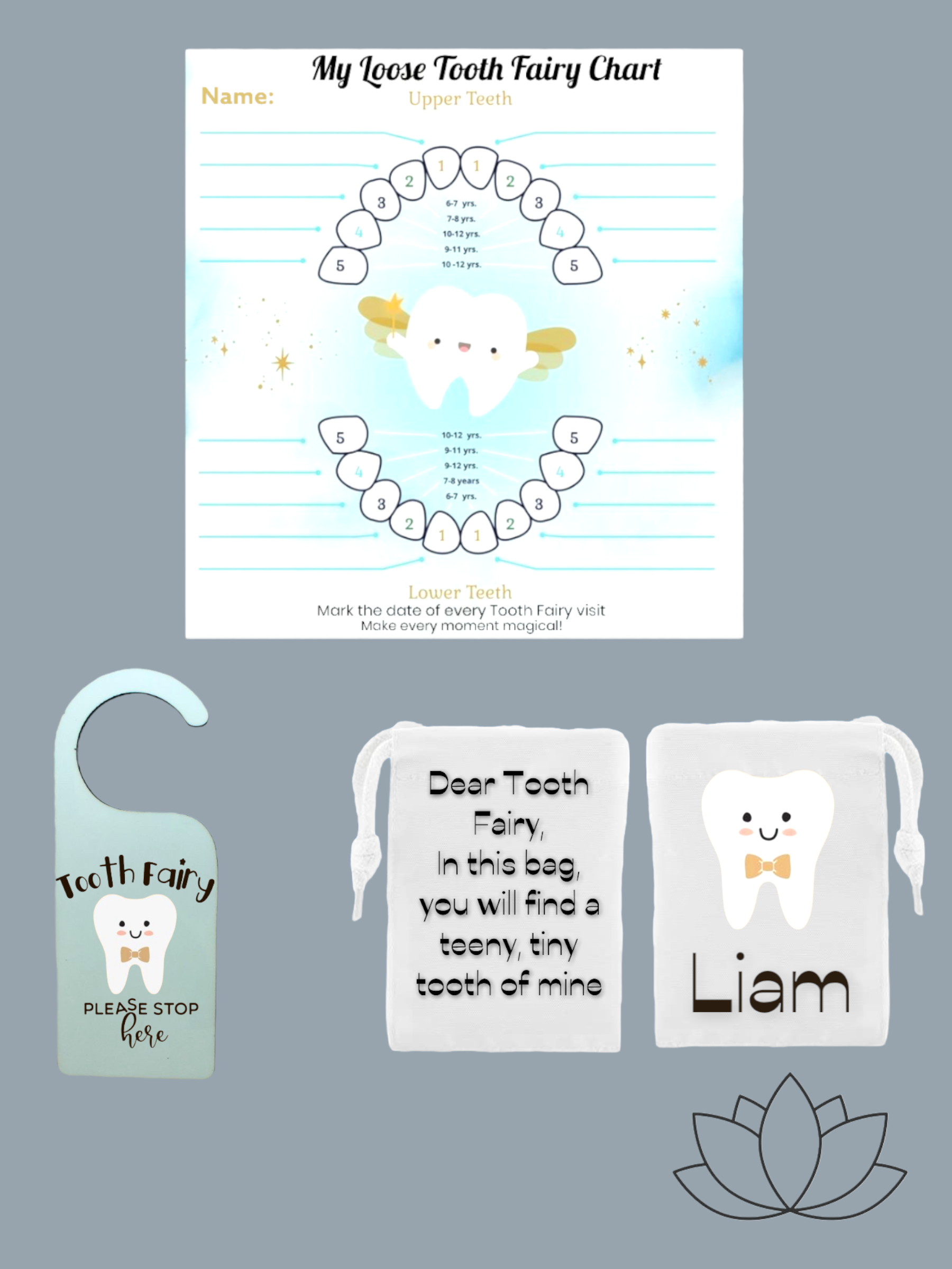 Tooth fairy combo 