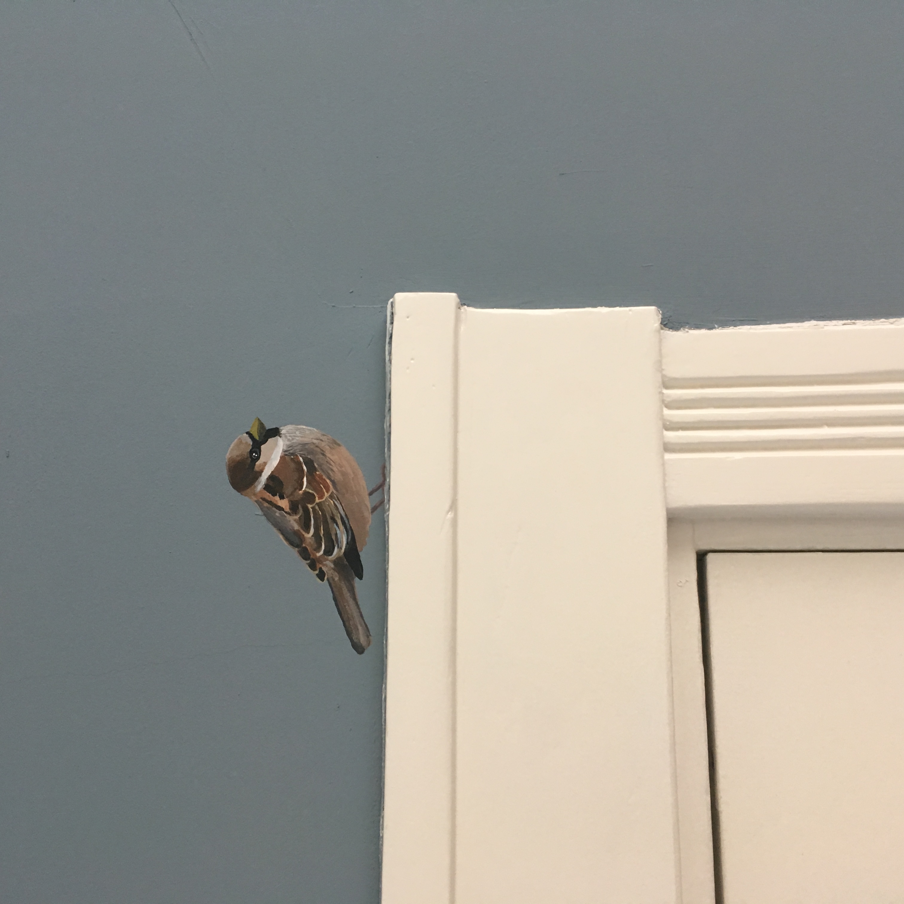 Huismus op donkere muur
