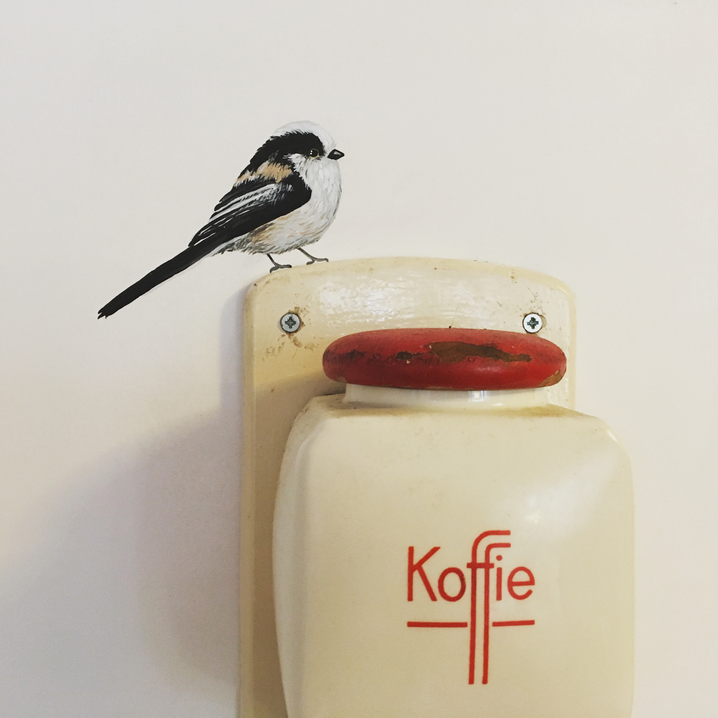 Staartmees op koffiemolen