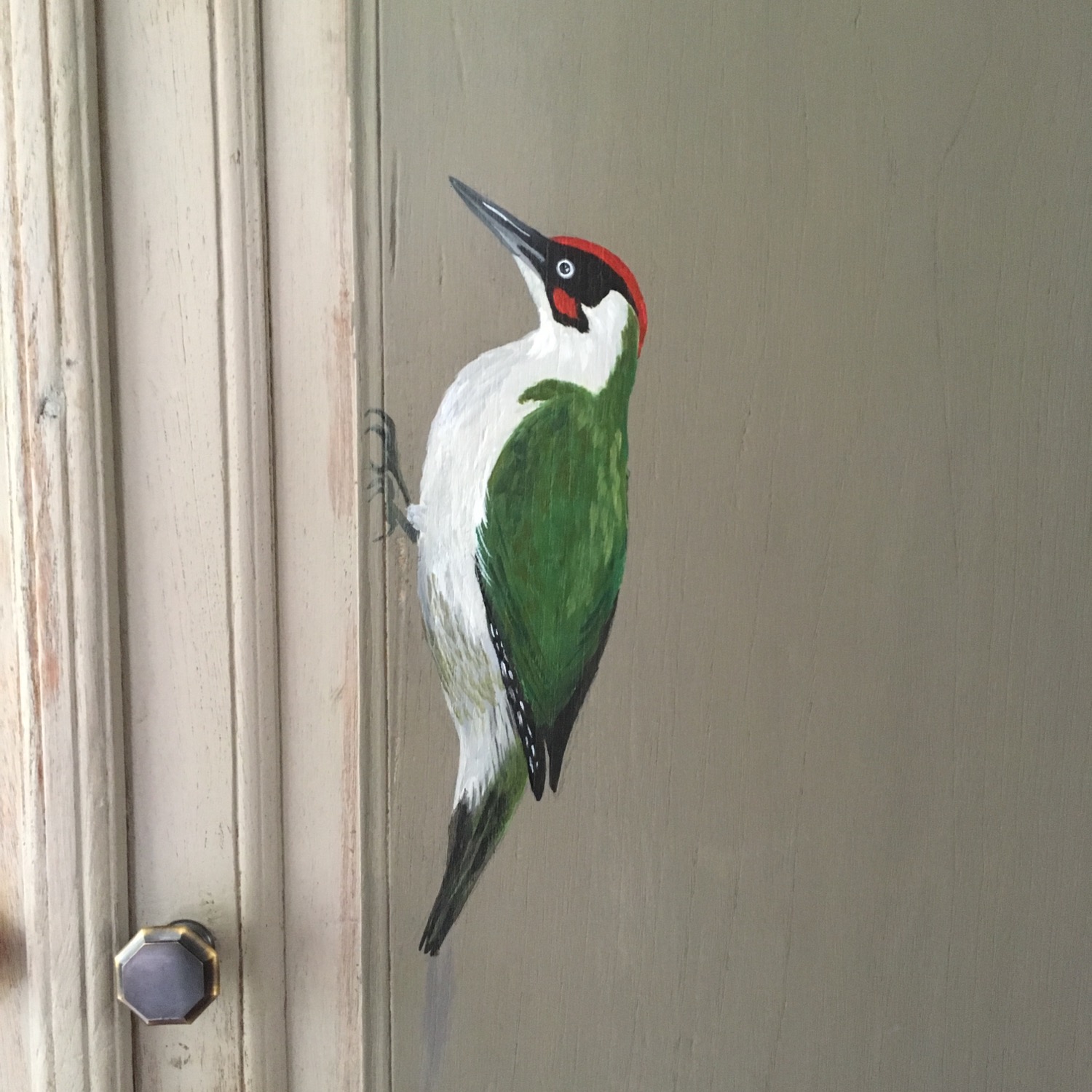 Groene specht op kast