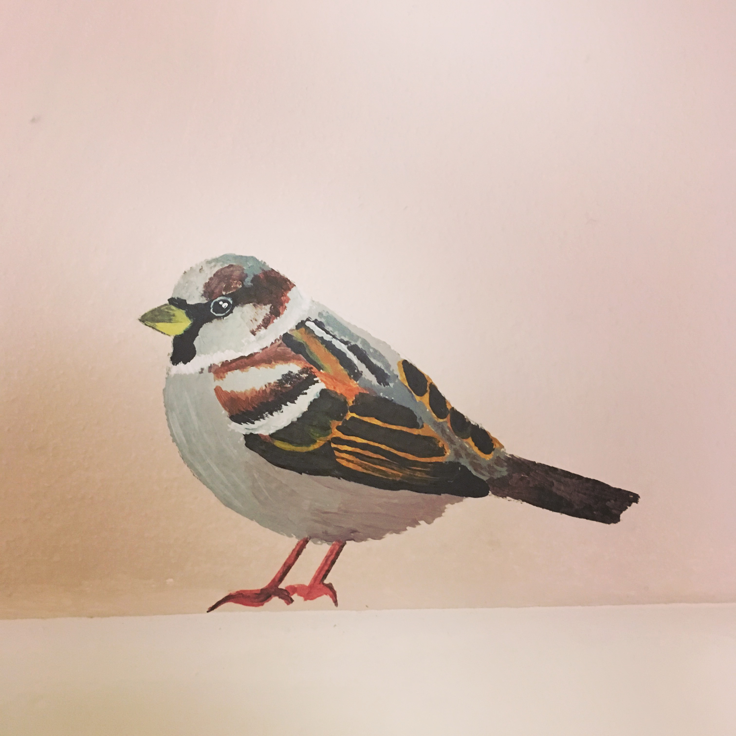 Huismus op roze muur