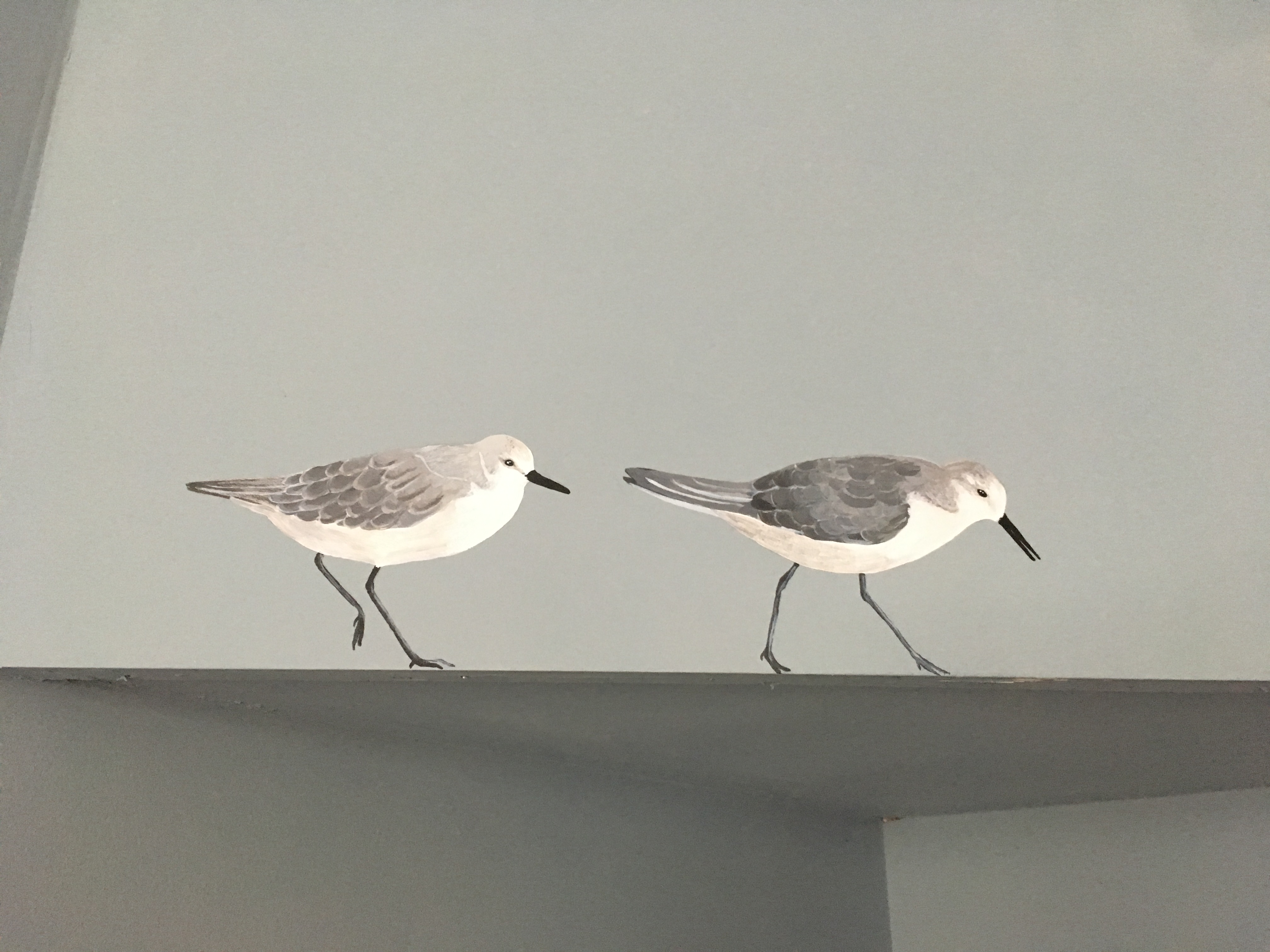 Strandlopers