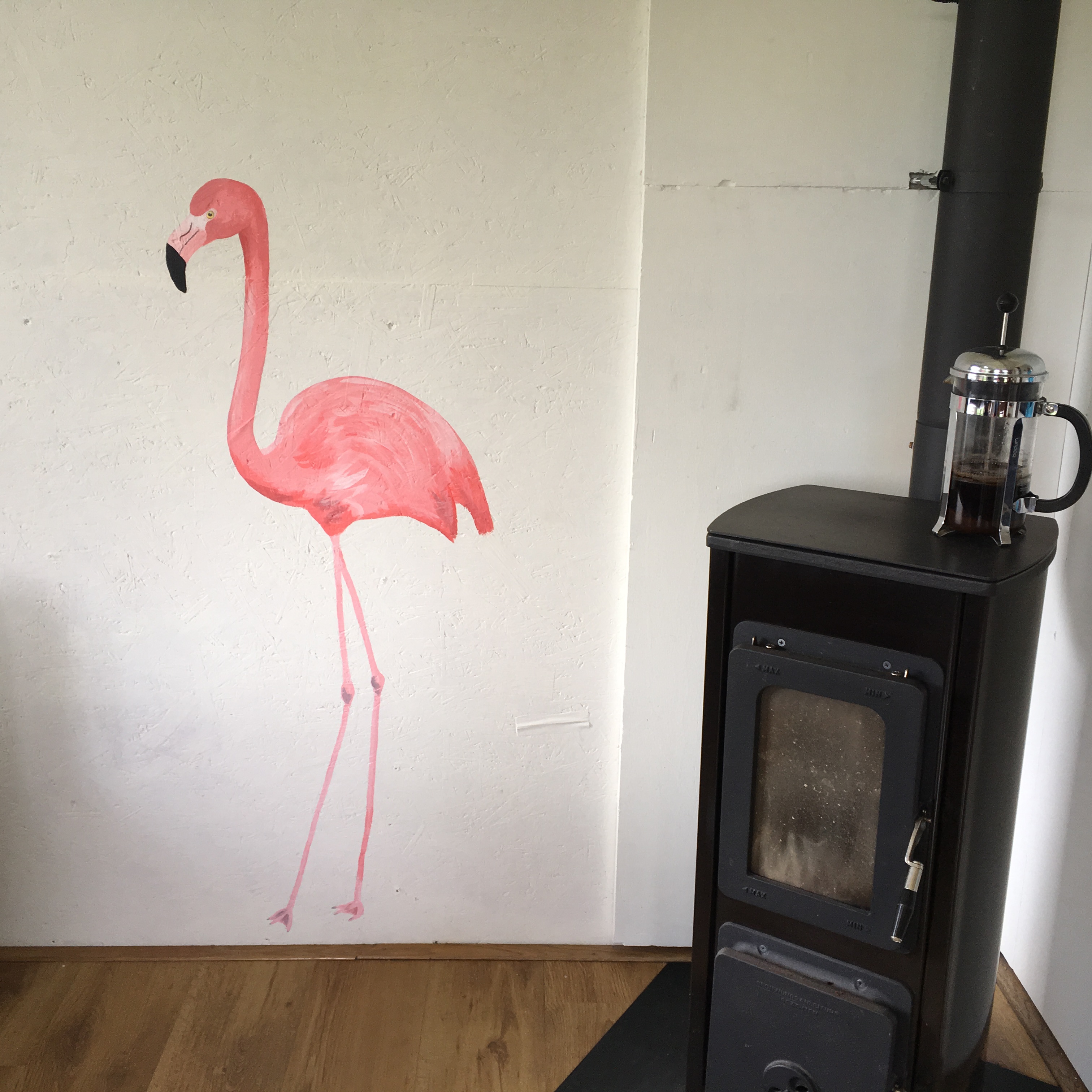 Flamingo