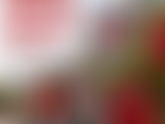 Off-Campus Housing Guide: University of Houston