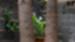 DSC07045.jpg