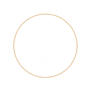 Luxx Launch Business Consulting