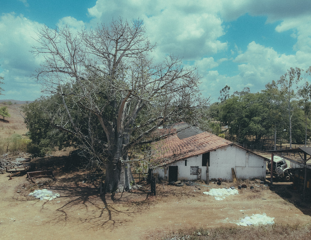 DJI_0371.jpg
