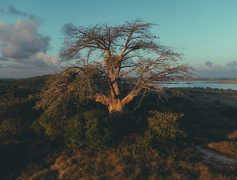 DJI_0956.jpg
