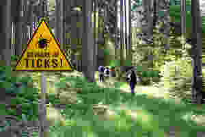 Tick Danger