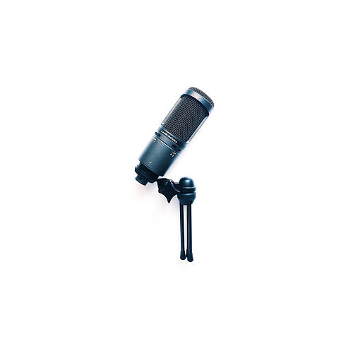 Mic v2.jpg