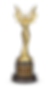 Aaryans Awards_trophy-2024